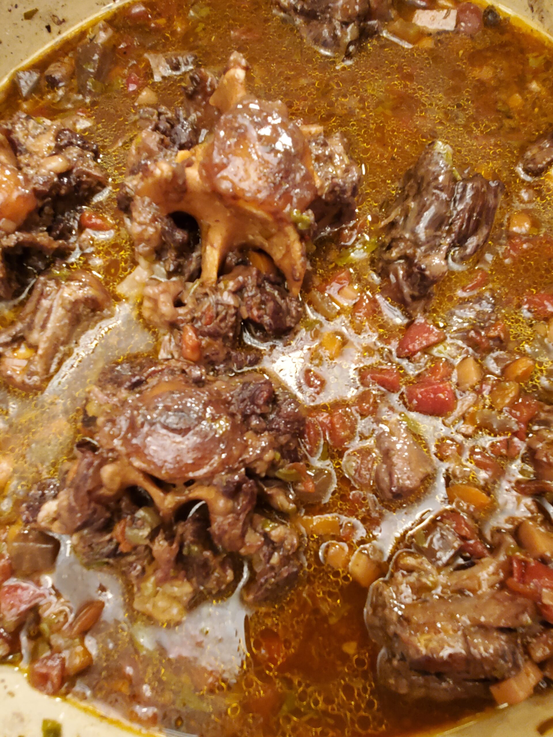 Oxtail Ragout 1